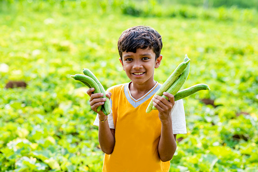 Young Boy Happy With Cucumber Holding His Hands Outdoor Farming Rural Area India