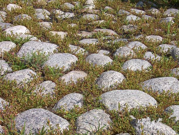 Stone and grass stock photo