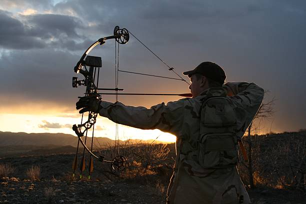 Bow hunter A male hunter draws back on his bow during an evening hunt archery bow stock pictures, royalty-free photos & images