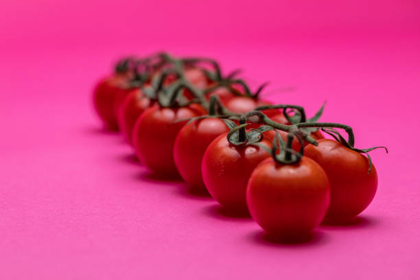 A group of cherry tomatoes sorted in a line
