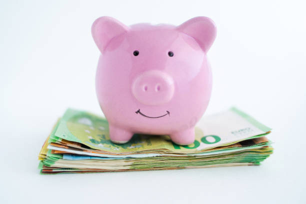 Pink piggy bank sitting on a pile of euro bills stock photo