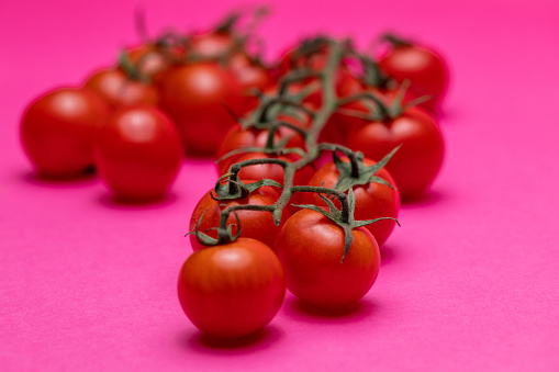 Close-up shot of a group of cherry tomatoes on a bright pink background.