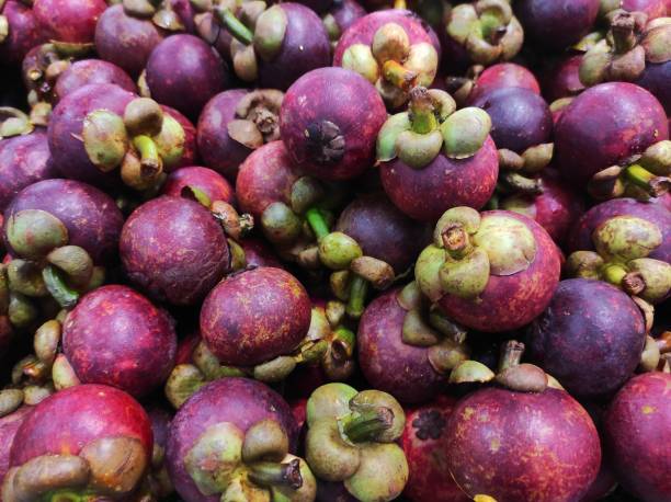 istock Garcinia mangostana or Mangosteen 1404622376