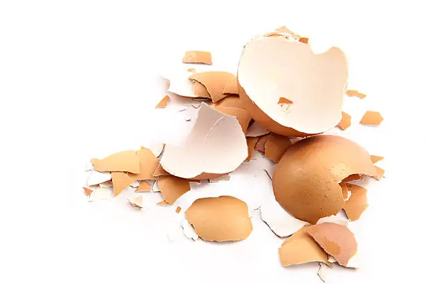 Chips of the crushed egg shell-concept of wreck and crash 