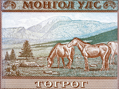Mountainous landscape and horses eating grass from Mongolian money