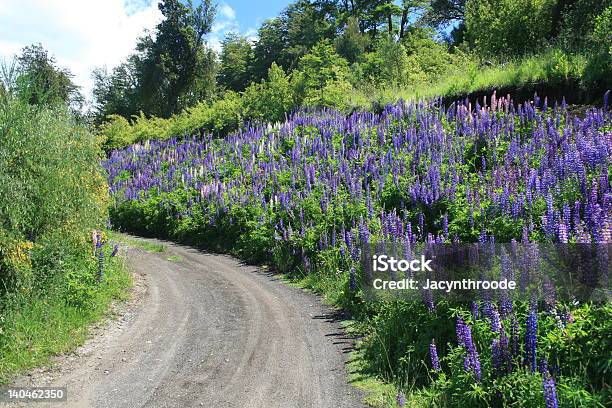 Carretera De Campo Foto de stock y más banco de imágenes de Aire libre - Aire libre, América del Sur, Anticuado