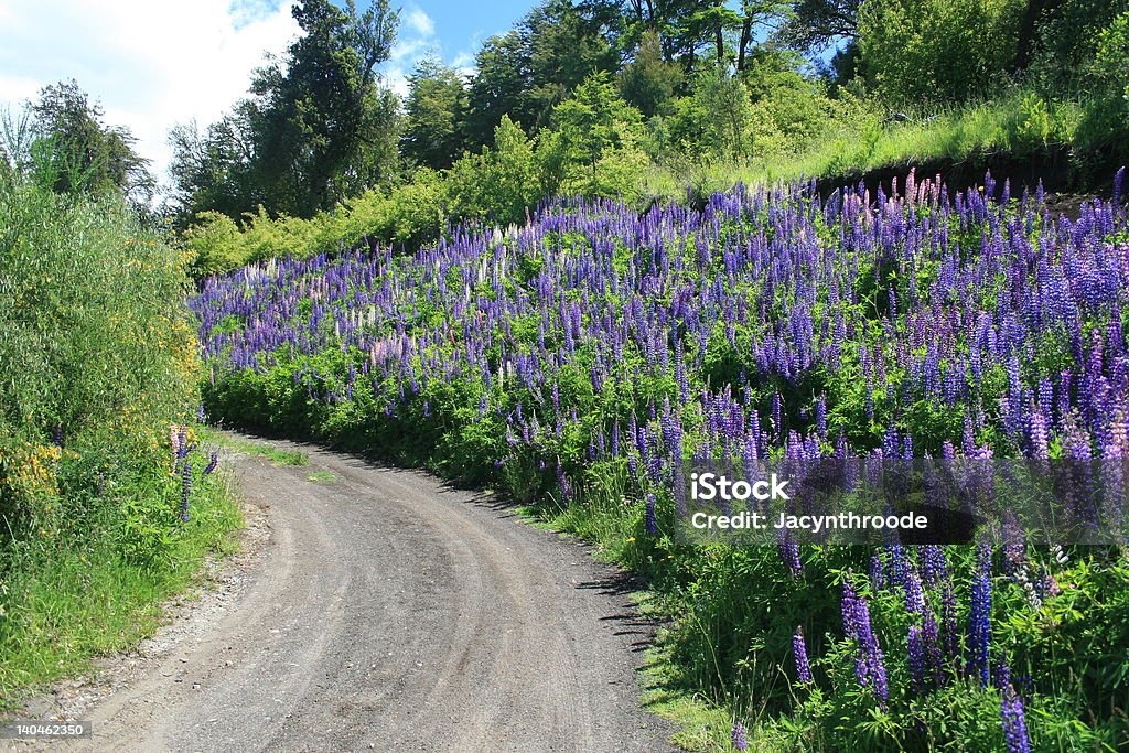 Estrada Secundária - Royalty-free América do Sul Foto de stock