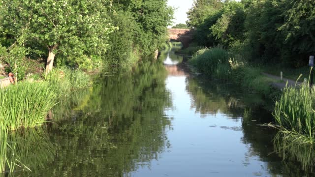 Bridgwater and Taunton Canal Somerset England UK English waterway in the west country