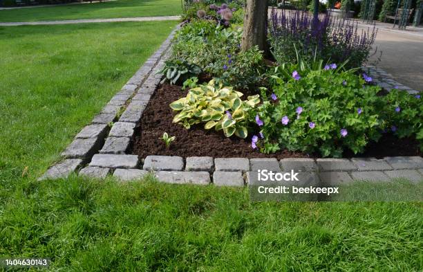 Flowerbed On The Promenade In The Park With Ornamental Perennials The Edge Is A Curved Curb Of Granite Paving Blocks Separates The Flowerbed In The Rectangle From The Lawns Stock Photo - Download Image Now