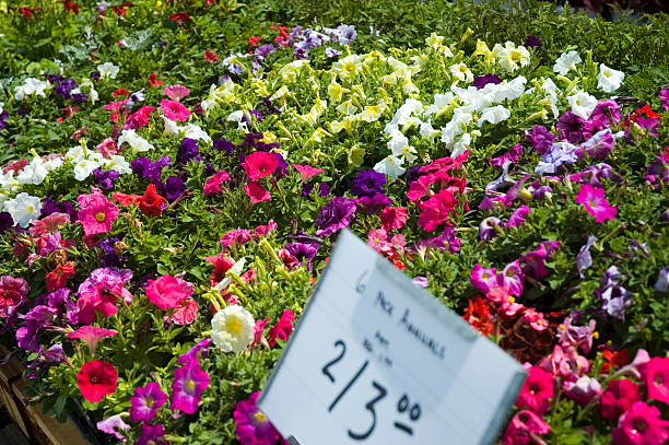 Beautifully landscaped flowerbed in front of the lawn.