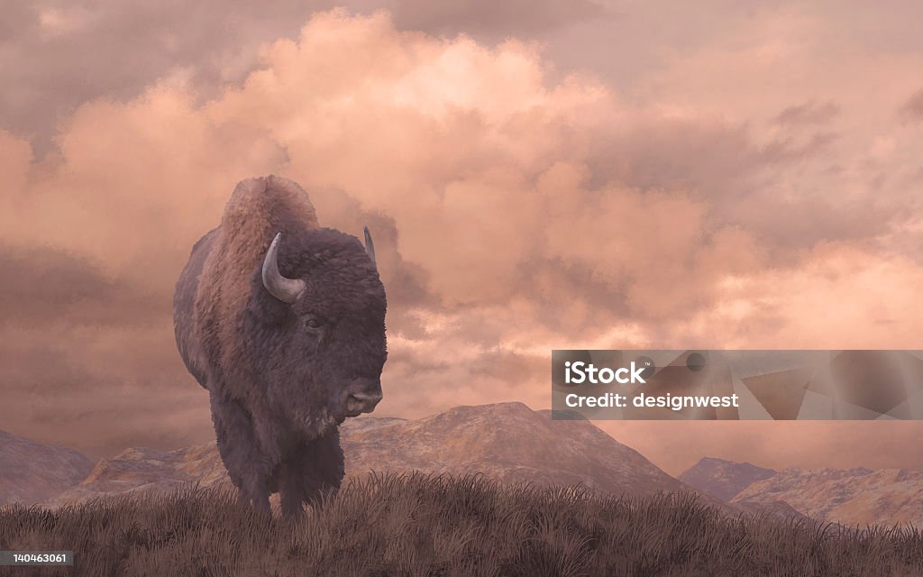 Buffalo - Foto de stock de Bisonte Americano libre de derechos