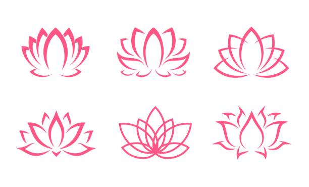 ilustrações, clipart, desenhos animados e ícones de ícones de lótus rosa, flores, flores florais de yoga - lotus water lily lily pink