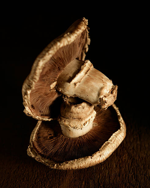 istock Portobello mushrooms 2 140463082
