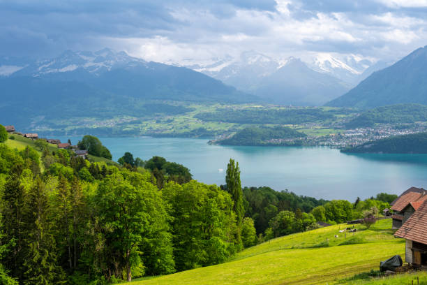 istock amazing view on lake Thun with green meadows and Alps 1404631823