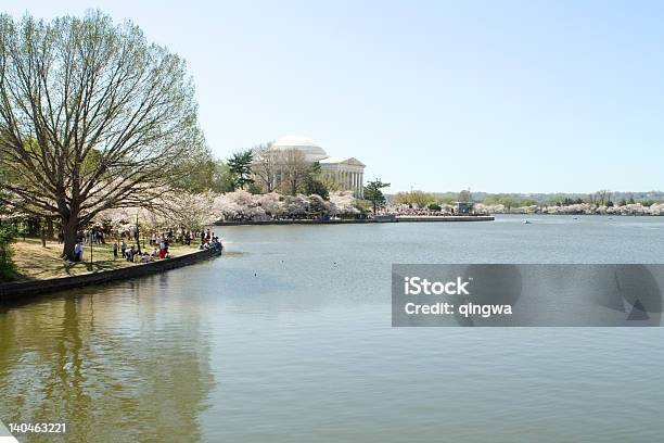 Memorial De Jefferson Perto Tidal Basin Na Primavera Flores De Cereja Washington - Fotografias de stock e mais imagens de Ao Ar Livre