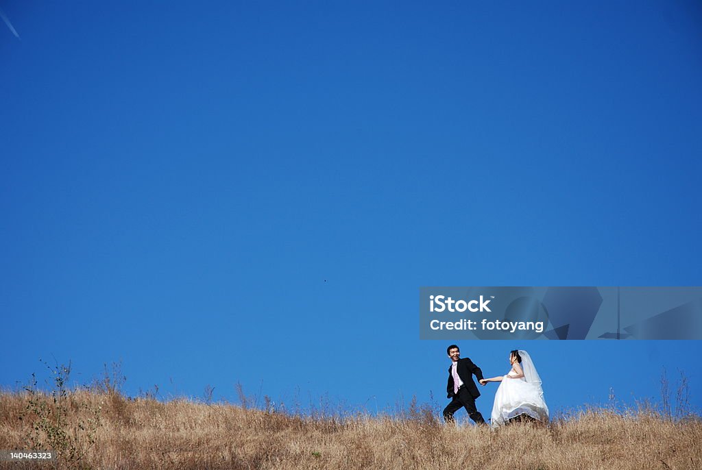 O noivo e a noiva andando na meadow refogado - Foto de stock de Casamento royalty-free