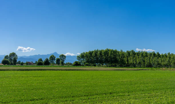 paisagem com campos verdes - padan plain - fotografias e filmes do acervo