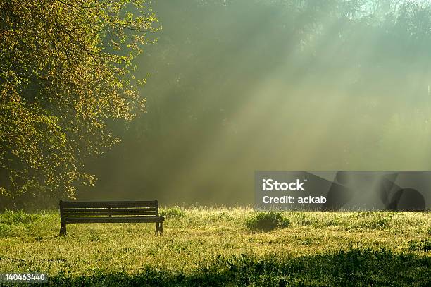 Morning Light In The Park Stock Photo - Download Image Now - Hope - Concept, Beauty, Beauty In Nature