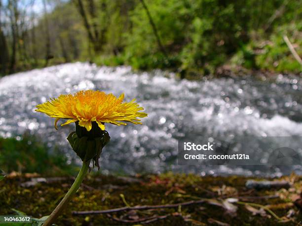 Apresurada De Resorte Foto de stock y más banco de imágenes de Aire libre - Aire libre, Amarillo - Color, Barranco