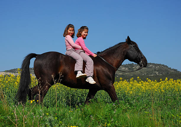 twins sisters in a field on a black stallion