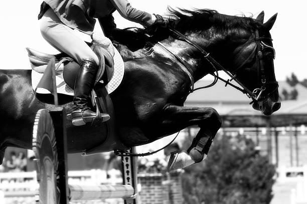 istock Crossing The Hurdle - Equestrian Theme (B&W) 140463748