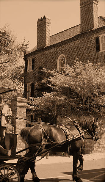 istock Horse Carriage Charleston 140464024