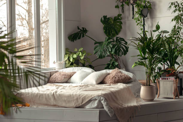kamar tidur cerah yang nyaman dengan tanaman indoor. desain interior rumah. desain biofilia, konsep hutan kota - tanaman hias tumbuhan potret stok, foto, & gambar bebas royalti