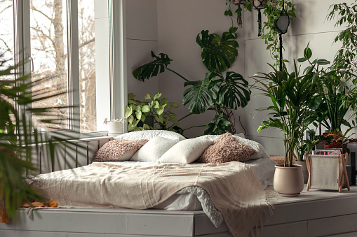 Cozy bright bedroom with indoor plants.Home interior design.Biophilia design,urban jungle concept