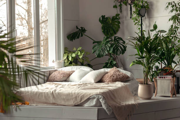 Cozy bright bedroom with indoor plants.Home interior design.Biophilia design,urban jungle concept Cozy bright bedroom with indoor plants.Home interior design.Biophilia design,urban jungle concept. cheese plant stock pictures, royalty-free photos & images