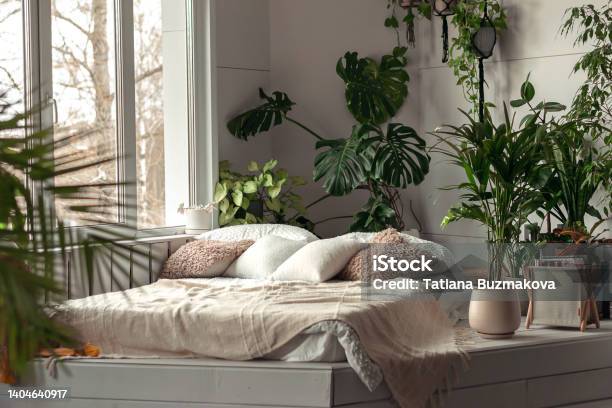 Cozy Bright Bedroom With Indoor Plantshome Interior Designbiophilia Designurban Jungle Concept Stock Photo - Download Image Now
