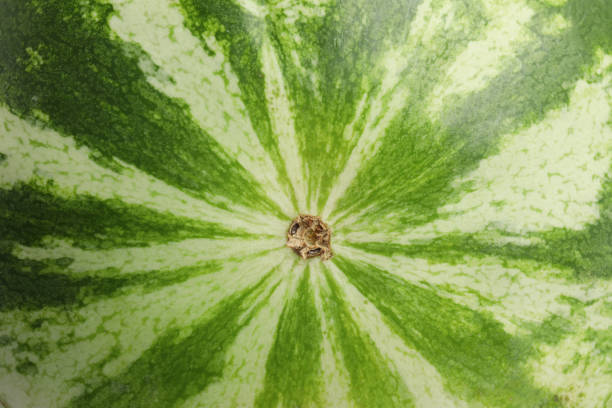 istock Delicious ripe watermelon as background, closeup view 1404642665