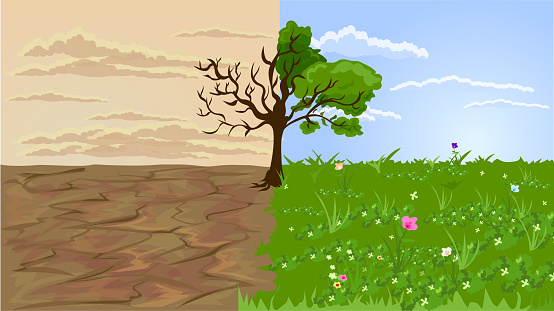 Vector illustration of two different parts of nature to be face to face. On the left, there is a section that remains as a dry soil and leafless branch, with nasty air and a negative feeling as a result of drought, on the left, colorful flowers randomly appearing among the lush green grass with spring breezes, a tree with leaves that look full, and the sky shining with positive emotions. a section. Concepts of drought and treelessness, lack of greenery and contempt for nature.