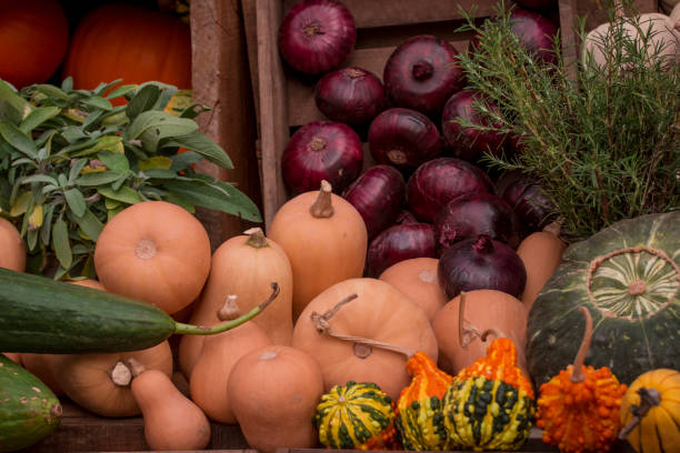 istock arrangement of several multicolored squashes display 1404645554