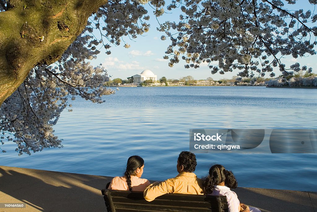東インドのファミリーラウンジお楽しみください。ワシントン DC の日本の桜の花 - ワシントンDCのロイヤリティフリーストックフォト
