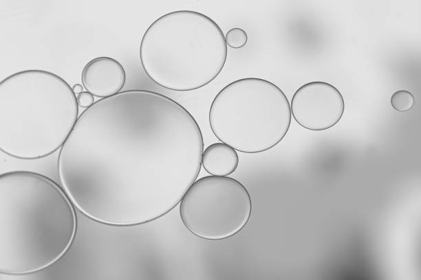 istock Oil and water bubble on grey background. 1404646165