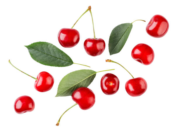 istock Cherries with leaves are flying on a white background. Isolated 1404647570