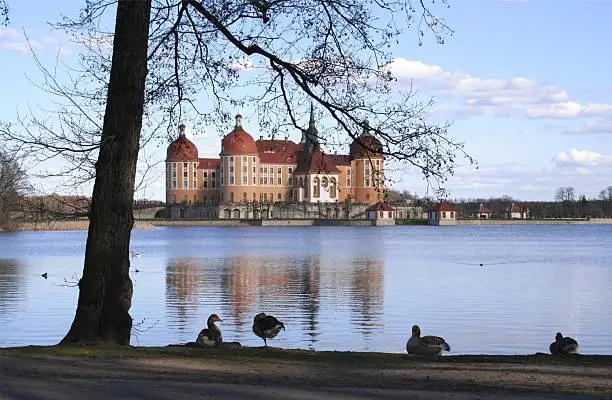 castle in Moritzburg near dresden