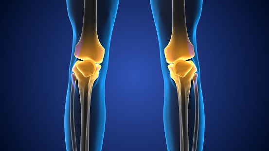 Concepto médico de dolor en la articulación de la rodilla photo