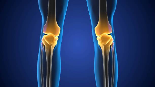 Medical concept of pain in the knee joint Medical concept of pain in the knee joint human joint stock pictures, royalty-free photos & images