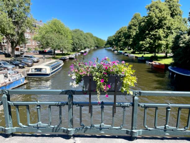 istock Dutch flowers in Amsterdam 1404649167