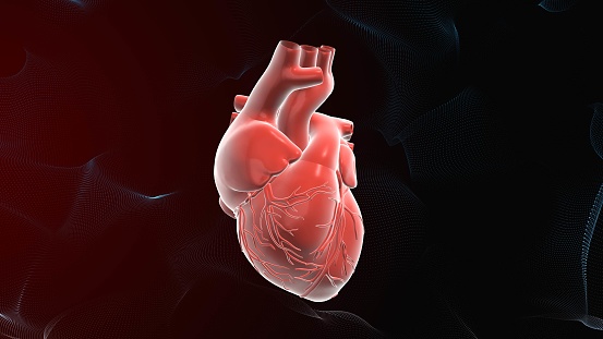 Human heart healthcare and medical background