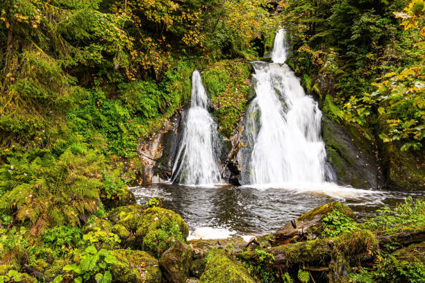 폭포 트리버그. - black forest waterfall triberg landscape 뉴스 사진 이미지