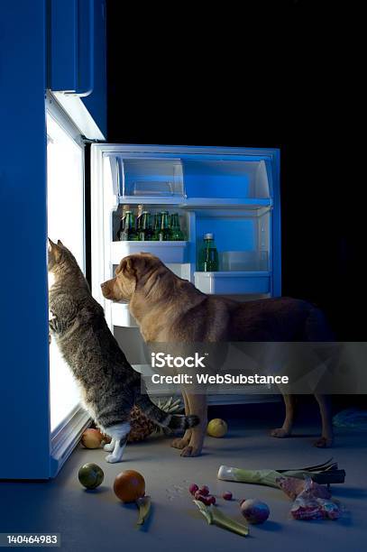 Midnight Snacks Stock Photo - Download Image Now - Dog, Domestic Cat, Mischief