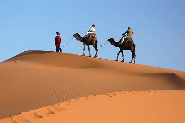 istock Camel Caravan in the Sahara Desert 140464994