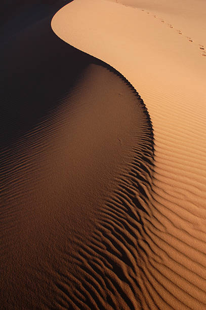 сахара пустыня - landscape desert wave pattern erg chebbi dunes стоковые фото и изображения
