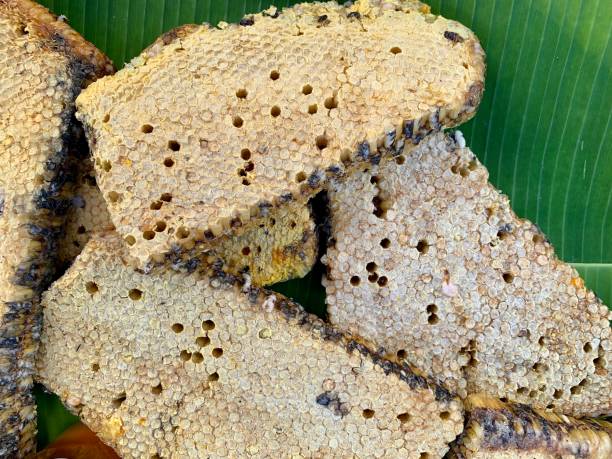 istock Cut Bee Hive's On Banana Leaf. 1404650347