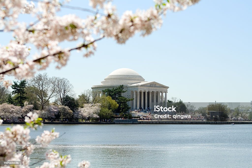 Monumento Jefferson Memorial rodeado de cerezos en flor, Washington DC - Foto de stock de Agua libre de derechos