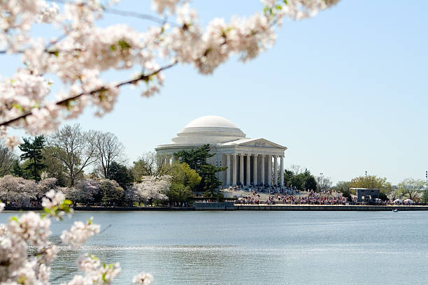 istock Jefferson Memorial Surrounded by Spring Cherry Blossoms Washington DC 140465036