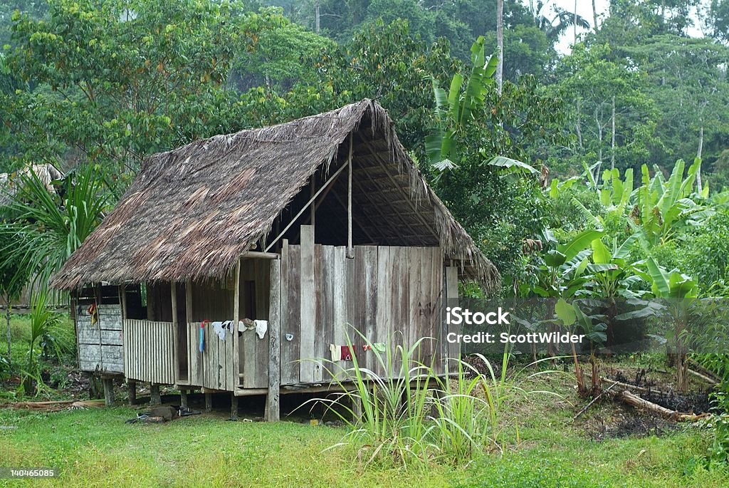 Cabaña Amazonia - Foto de stock de Aire libre libre de derechos