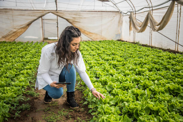 istock Woman in the garden 1404652757